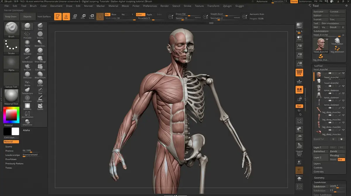 ZBrush 男性解剖学雕刻教程封面：肌肉骨骼分层雕刻的男性人体模型与 ZBrush 工作界面01