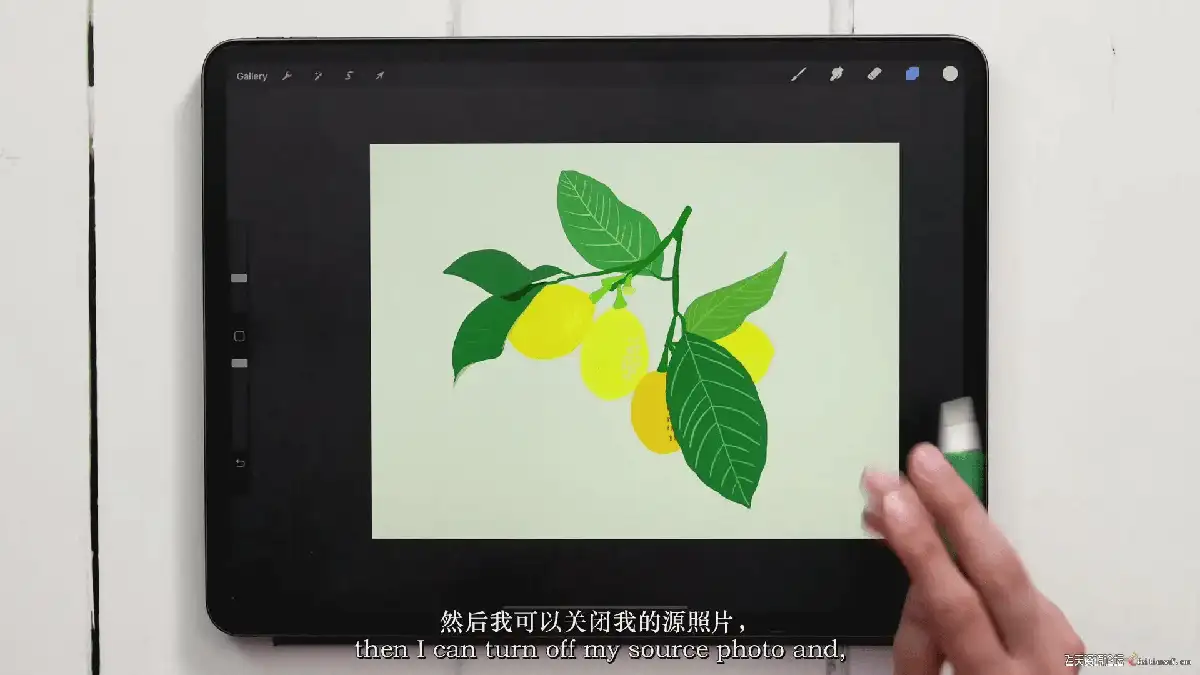 插画师在iPad Pro上使用Apple Pencil和Procreate软件，正对着一张真实的植物照片绘制极具色彩张力的水粉风植物插画9