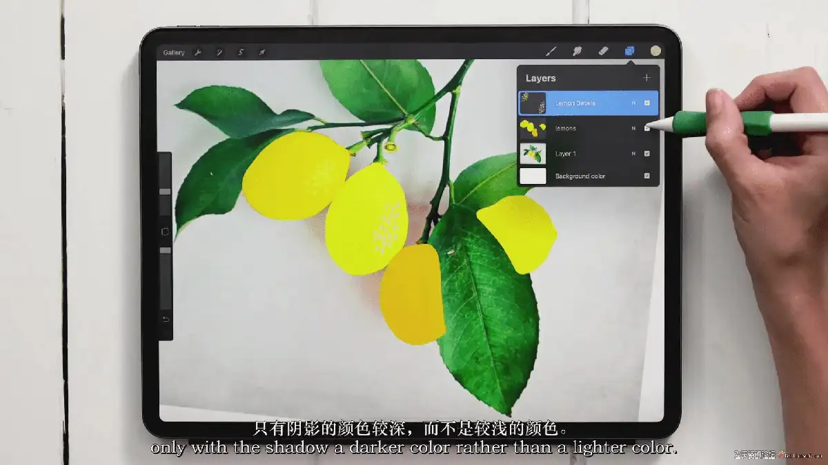 插画师在iPad Pro上使用Apple Pencil和Procreate软件，正对着一张真实的植物照片绘制极具色彩张力的水粉风植物插画11